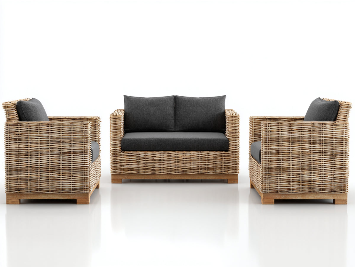 Sofás de exterior de ratán 3 piezas - ratán natural y gris oscuro - diseño moderno con cojines tapizados